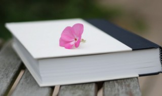 尹怎么读拼音 隶怎么读拼音