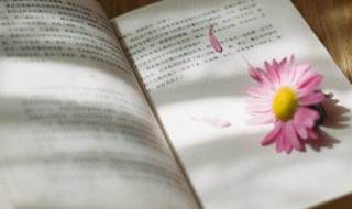 舣怎么读(噀怎么读)