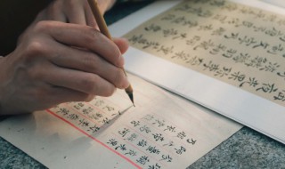 胧怎么读（朦朦胧胧怎么读）