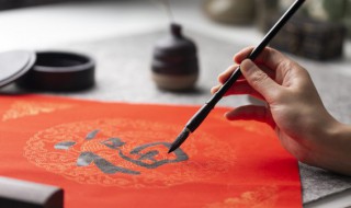 桄怎么读(榉怎么读)