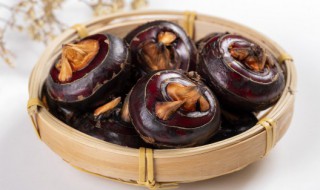 马蹄荸荠怎么读（马蹄荸荠怎么读荸荠）