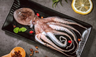 八带鱼的做法水煮多久 八爪鱼水煮要几分钟