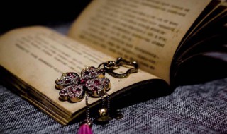 艳的拼音怎么写 艳丽的拼音怎么写