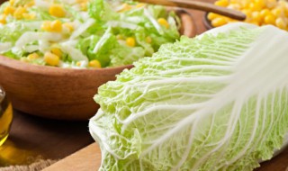 白菜炖虾的家常做法 白菜炖虾的家常做法大全