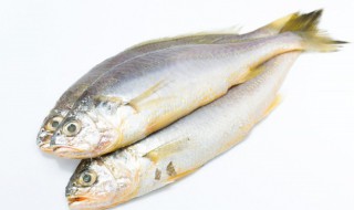 香水鱼的做法（香水鱼的做法大全视频）