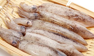 鱿鱼家常做法 干鱿鱼家常做法怎么做好吃