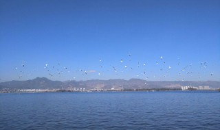 滇池怎么读（滇池怎么读?）