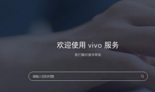 vivo主题怎么没有搜索 vivo主题怎么没有搜索功能