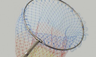 钓鱼时装鱼的网子叫什么（钓鱼的网子叫什么名字）