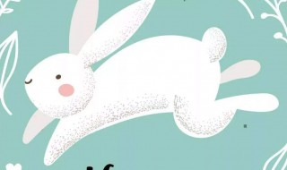 逃家小兔告诉我们什么（逃家小兔告诉我们什么道理）