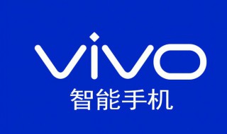 vivox20支持无线充电吗（vivox20plus支持无线充电吗）