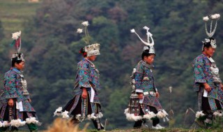 百鸟衣主要讲什么? 百鸟衣的主要内容