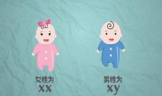 生男生女是命中注定的吗 生男生女是命中注定的吗?