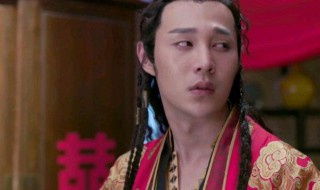 电视剧一夜新娘岳风是好人吗 一夜新娘里的岳风是谁扮演的