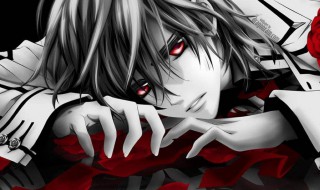 qq动漫等级怎么升到5级（qq动漫等级怎么升到5级以上）