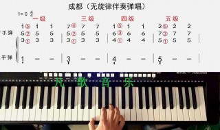 初学电子琴买什么琴好(老年人初学电子琴买什么琴好)