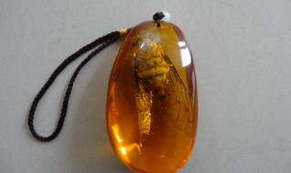 黄河象和琥珀有什么区别? 河流和琥珀属于什么