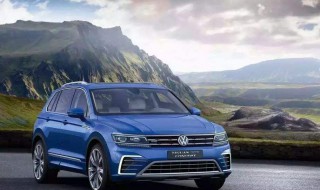 途观能跑川藏线吗（途观能跑川藏线吗现在）