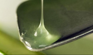 生芦荟擦脸的正确方法（生芦荟擦脸的正确方法是）