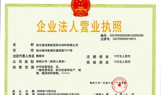 如何下载电子营业执照（外籍法人如何下载电子营业执照）