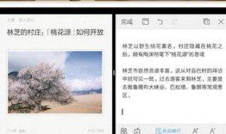 智学网为什么突然不支持分屏 智学网可以切屏吗