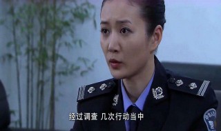 督察队长住宾馆报警是哪一集 督察队长住宾馆故意报警是哪一集