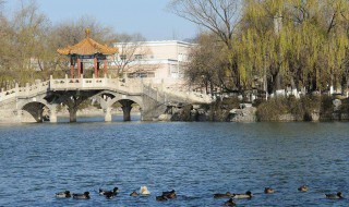 小汤山位于哪里 小汤山在什么位置