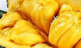 菠萝蜜胖人吗 菠萝蜜胖吗?