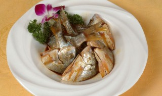 黄鲫鱼是淡水鱼还是海水鱼（黄鲫鱼是淡水鱼还是海水鱼）