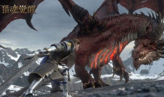 猎魂觉醒苍龙夫妇怎么打（猎魂觉醒虹龙苍龙混搭）