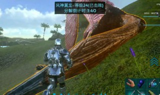 方舟手游开启60帧补丁（方舟手游60帧修改）