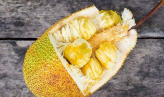 菠萝蜜可以生吃吗（菠萝蜜可以生吃吗?）