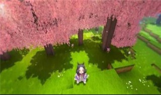 迷你世界竹林一般在哪个方向(迷你世界怎样快速找到竹林)