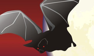 蝙蝠可以几天不吃东西（蝙蝠几天不吃东西会饿死在房间关了五天了没有在见了）