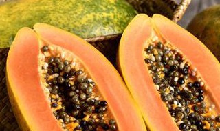 青木瓜怎么变熟（青木瓜怎么变熟的快）