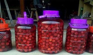 杨梅酒能放多久 杨梅酒能放多久?