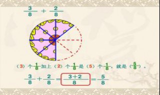 分母越大的分数分数单位越大对吗 分母越大的分数分数单位越小对吗