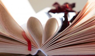 真州逐之城门外几彷徨死的翻译（城上啼乌破寂寥翻译）