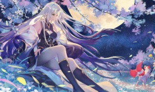 阴阳师泷夜叉姬御魂怎么配伤害高(阴阳师式神泷夜叉姬御魂搭配)