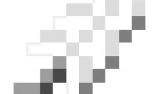 我的世界羽毛长什么样 我的世界的羽毛长什么样