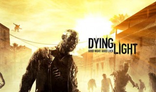 消逝的光芒简称 消逝的光芒简称叫什么