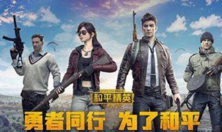 和平精英怎么看车里面的视角（和平精英车内视角）