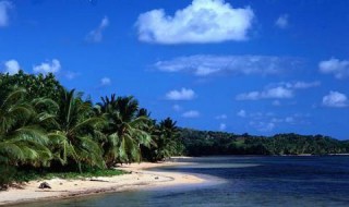 马达加斯加东侧热带雨林成因（马达加斯加东侧热带雨林气候成因）