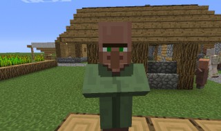 我的世界保护村民的叫什么（我的世界中什么可以保护村民）