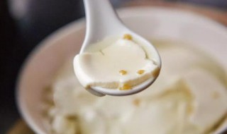 点豆花的技术要点 点豆花的技术要点视频