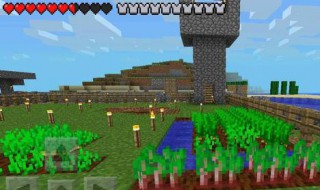 我的世界僵尸怎么腐肉吃不了 我的世界腐肉怎么喂僵尸