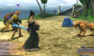 最终幻想10装备技能用处 最终幻想10装备技能用处在哪