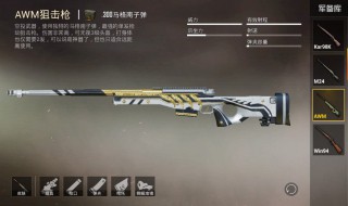 和平精英皮肤设计大赛怎么设计（和平精英皮肤设计软件）