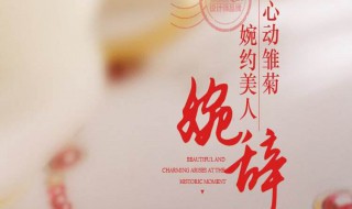 辞惋是什么意思 惋然的惋是什么意思?