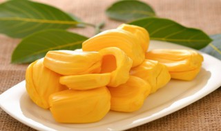 波萝蜜有哪些人不能吃(什么人不能吃菠萝蜜)